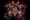 Three Dog Night